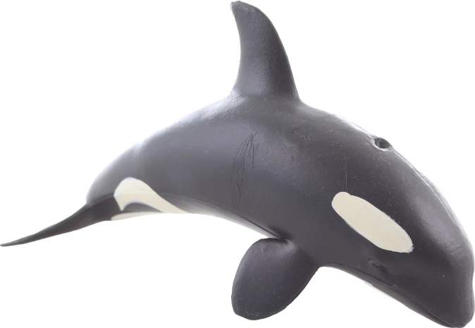 Odolný plast a příjemná velikost