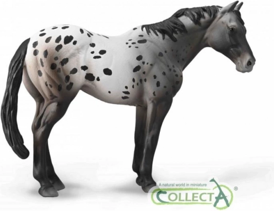 figurka koně appaloosa blue grošák COLLECTA