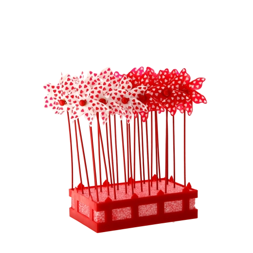 Skvělé pro aranžmá a akce