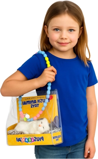 Přenosná průhledná taštička