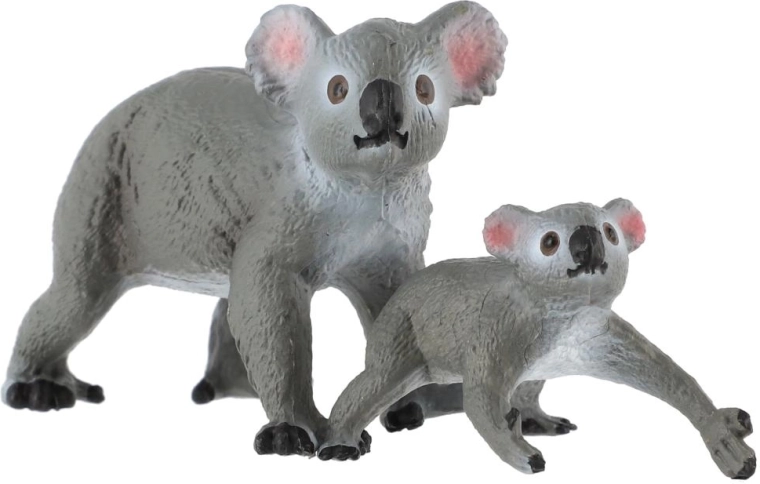 Koala s mládětem