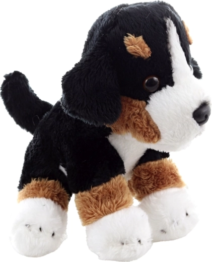 Lehký a skladný společník