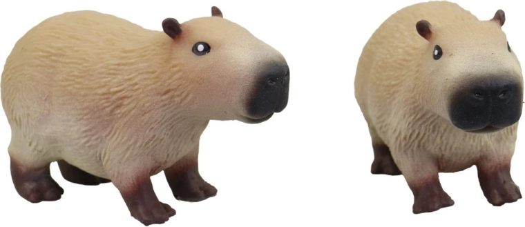 Roztomilý vzhled kapybary