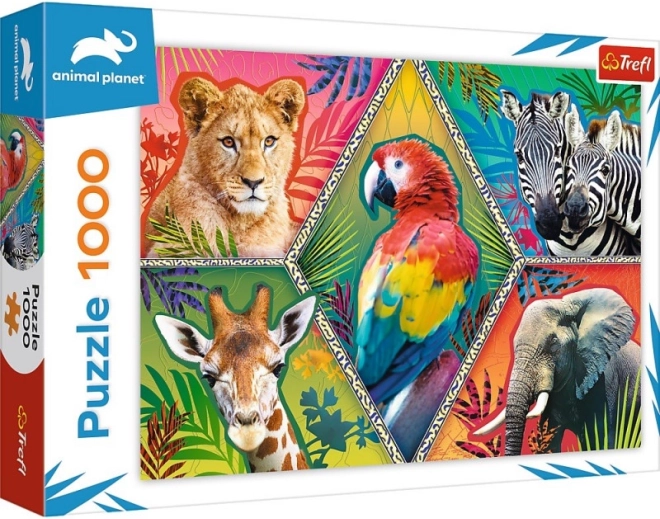 Puzzle 1000 dílků exotická zvířata ANIMAL PLANET