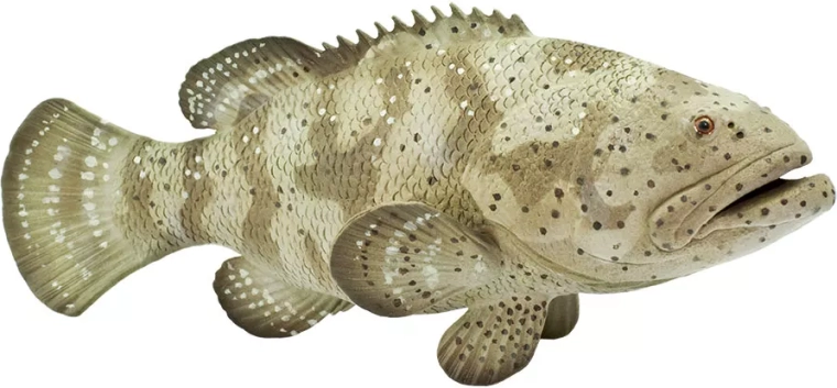 Safari Ltd. kanic itajara figurka - 1 kus