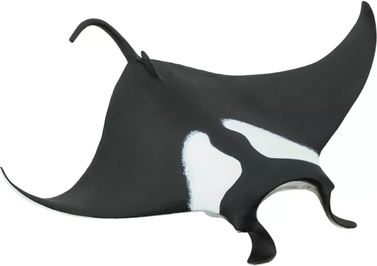 Safari Ltd. manta obrovská (figurka) - 1 kus