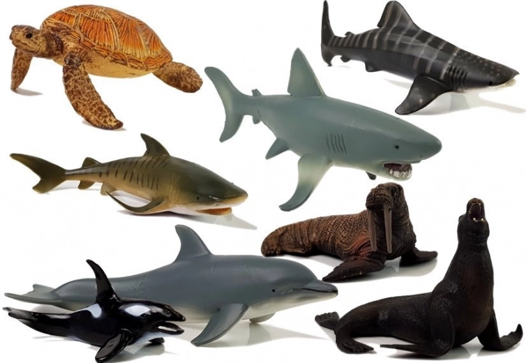 Realistické detaily pro opravdové poznávání