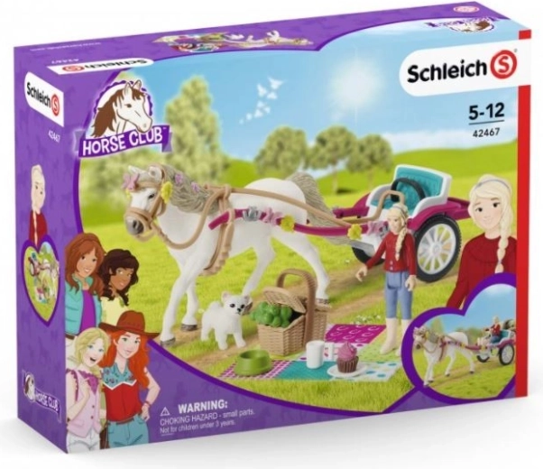 Kočár na velkou přehlídku koní