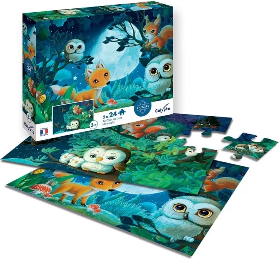 Sentosphere puzzle za měsíčního svitu