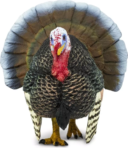 Realistický vzhled pro hraní i výuku