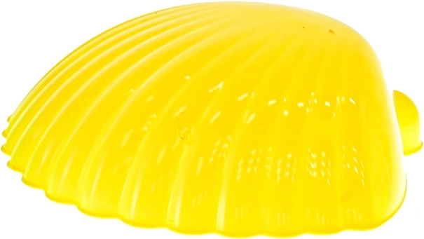 Realistické otisky s mušlovou formičkou