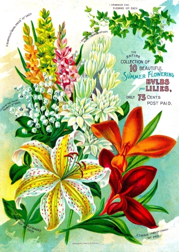 Enjoy puzzle Vintage květinový katalog 1000 dílků