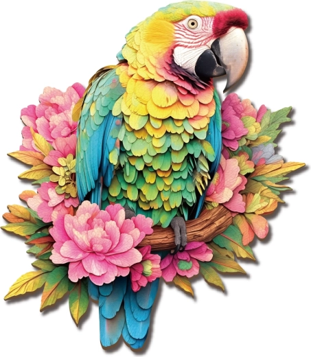 2Kids Toys dřevěné puzzle Papoušek
