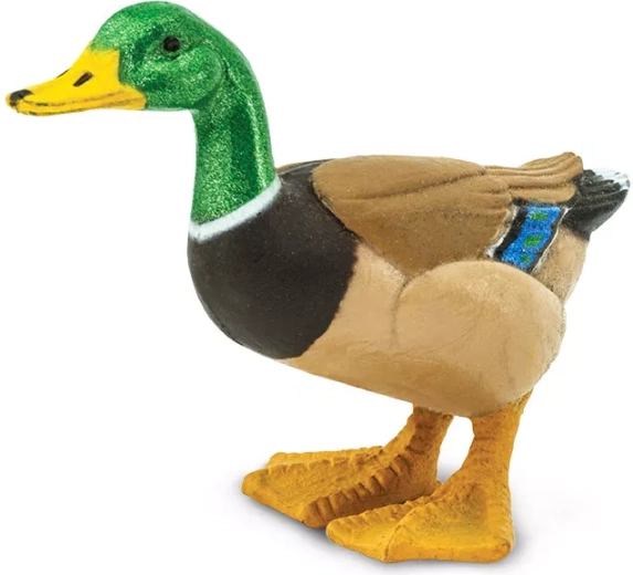 Kachna divoká (figurka) Safari Ltd. - 1 kus