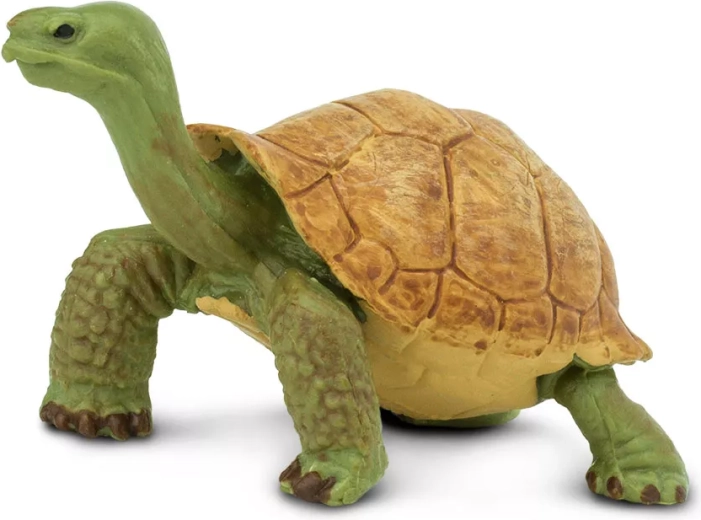 Safari Ltd. figurka želvy obrovské