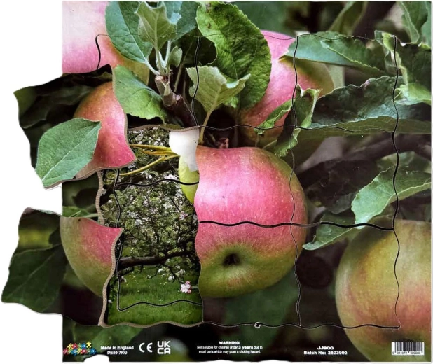 Just Jigsaws Jablko a jeho vegetativní růstové fáze – dřevěné vrstvené puzzle, 19 dílků