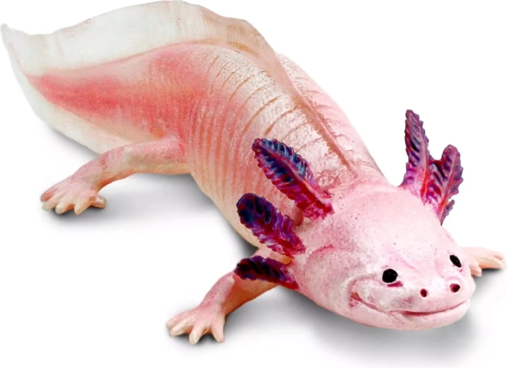 Safari Ltd. figurka axolotl