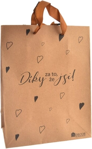 Dárková taška Díky za to, že jsi 17 × 10 × 23 cm