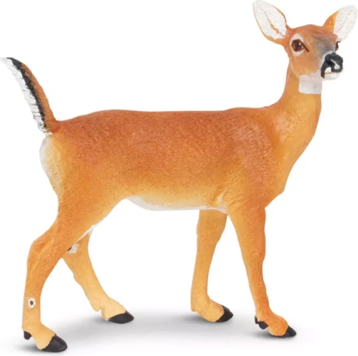 Safari Ltd. laň běloocasá