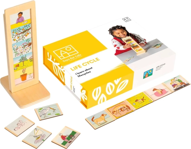 Toys for Life životní cykly – vzdělávací sada s kartičkami