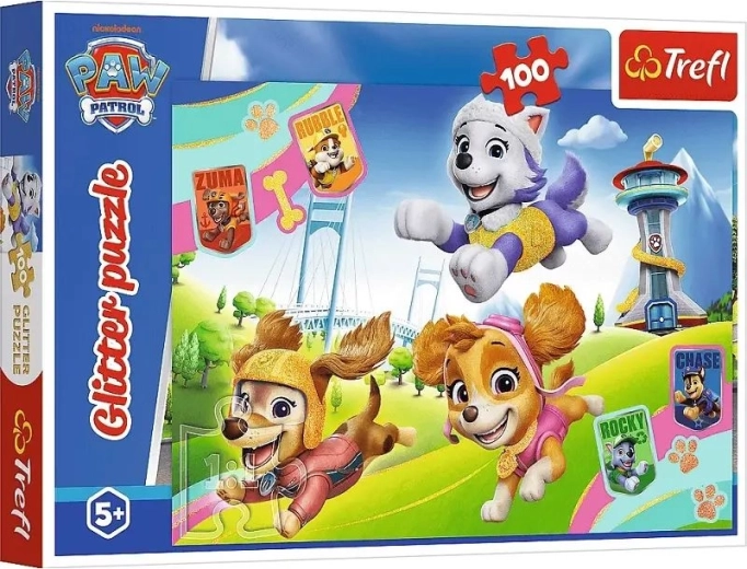 Třpytivé puzzle Tlapková patrola 100 dílků