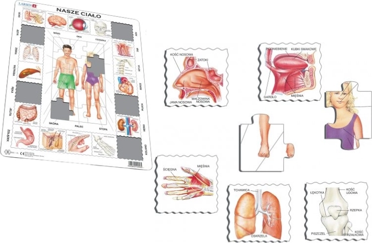 Larsen naše tělo maxi vzdělávací puzzle