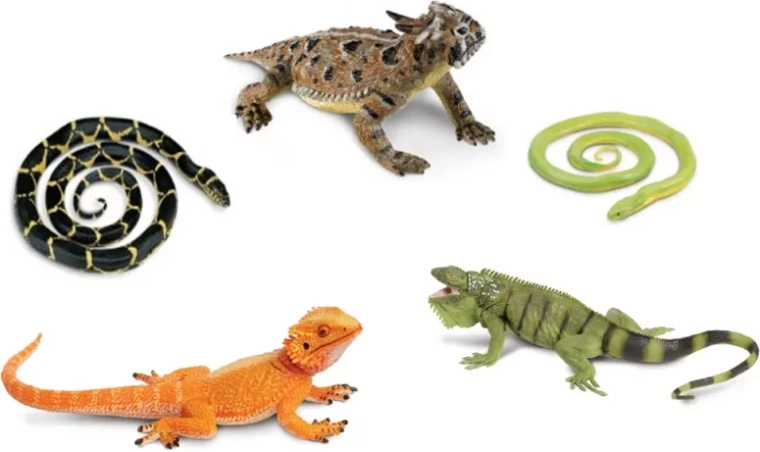 Safari Ltd. hadi a ještěři – sada 5 figurek