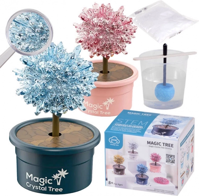 Vědecký set pěstování krystalů – kouzelné krystalové stromek štěstí