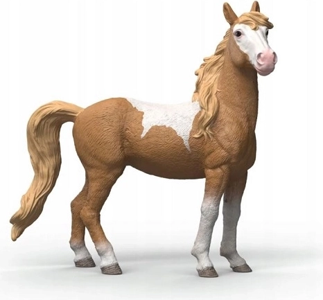 SLH klisna mustang