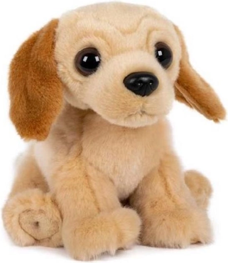 Plyšový sedící labrador 15 × 17 cm