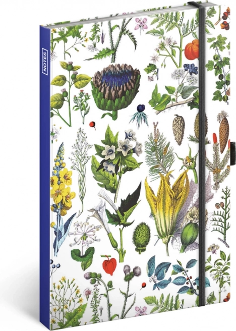 Linkovaný notes Bylinky Kateřiny Winterové 13 × 21 cm