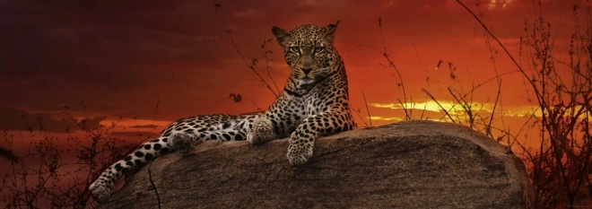 Panoramatické puzzle Svítání v Keni 2000 dílků