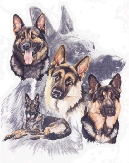 Diamantové vyšívání (diamond painting) - němečtí ovčáci 30 × 40 cm - 1 kus