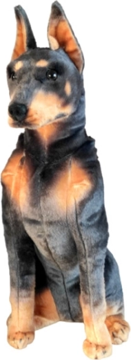 Plyšový doberman DUBI 65 cm