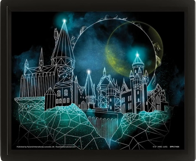 3D obraz HARRY POTTER – Bradavice