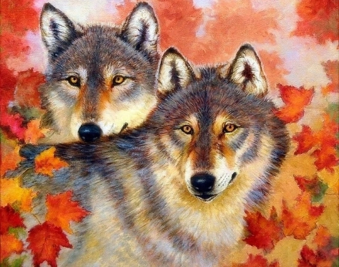 Norimpex malování podle čísel Vlk a vlčice 40 × 50 cm