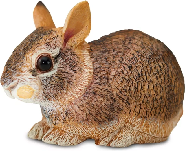 Mládě králíka východoamerického Safari Ltd