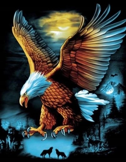 Diamantové malování Orel při úplňku 30 × 40 cm