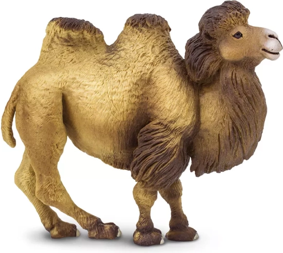 Safari Ltd. velbloud dvouhrbý figurka