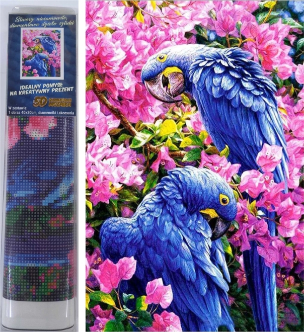 Norimpex diamantové malování modří papoušci 30 × 40 cm