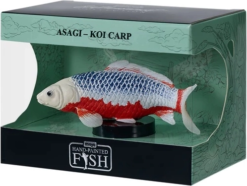 Mojo kapr koi asagi v krabičce - 1 kus