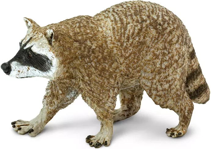 Figurka mýval severní Safari Ltd.