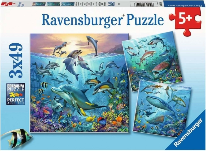 Ravensburger puzzle Ocean Life 3 x 49 dílků