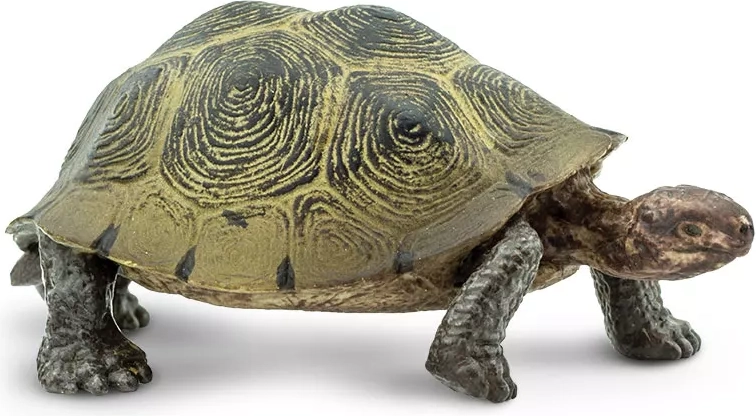 Safari Ltd. Želva pouštní figurka