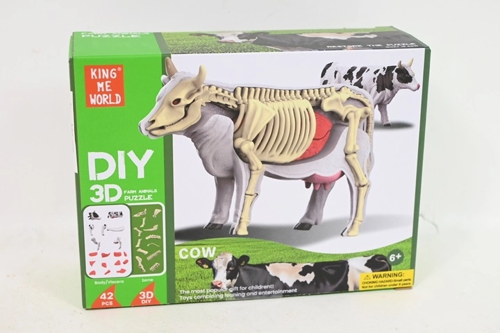 Anatomický model krávy pro děti