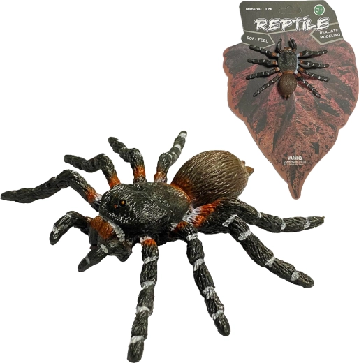 Živá příroda: realistický model pavouka White Knee Spider (8 cm) - 1 kus