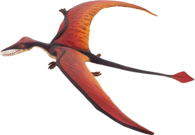 Safari Ltd. ramphorhynchus - 1 kus