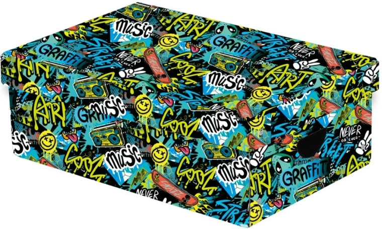 Velká laminovaná úložná krabice Funny Boy s víkem