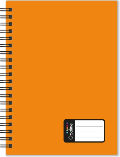 Poznámkový blok A5 s dvojitou spirálou Opaline, oranžový
