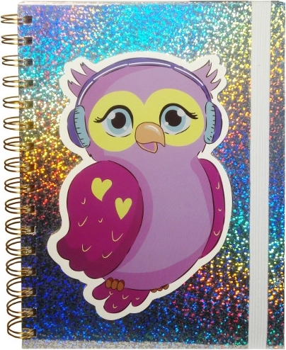 Holografický deník se sovou na gumičku